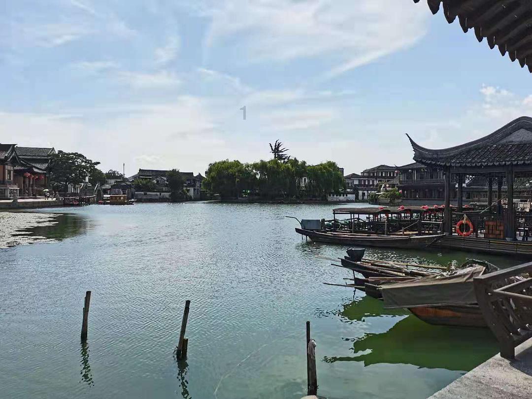 逃离棕榈树森林